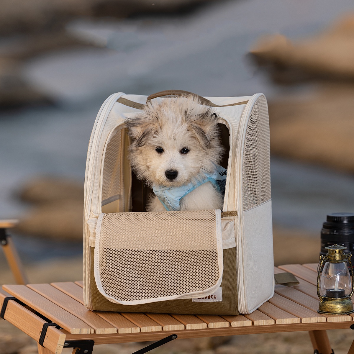 Pet Carrier Backpack Breathabl - огляд і ціна Foldable Backpack Small